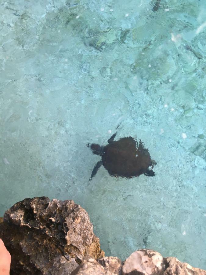 Club Patara Villas 220 Kalkan Zewnętrze zdjęcie